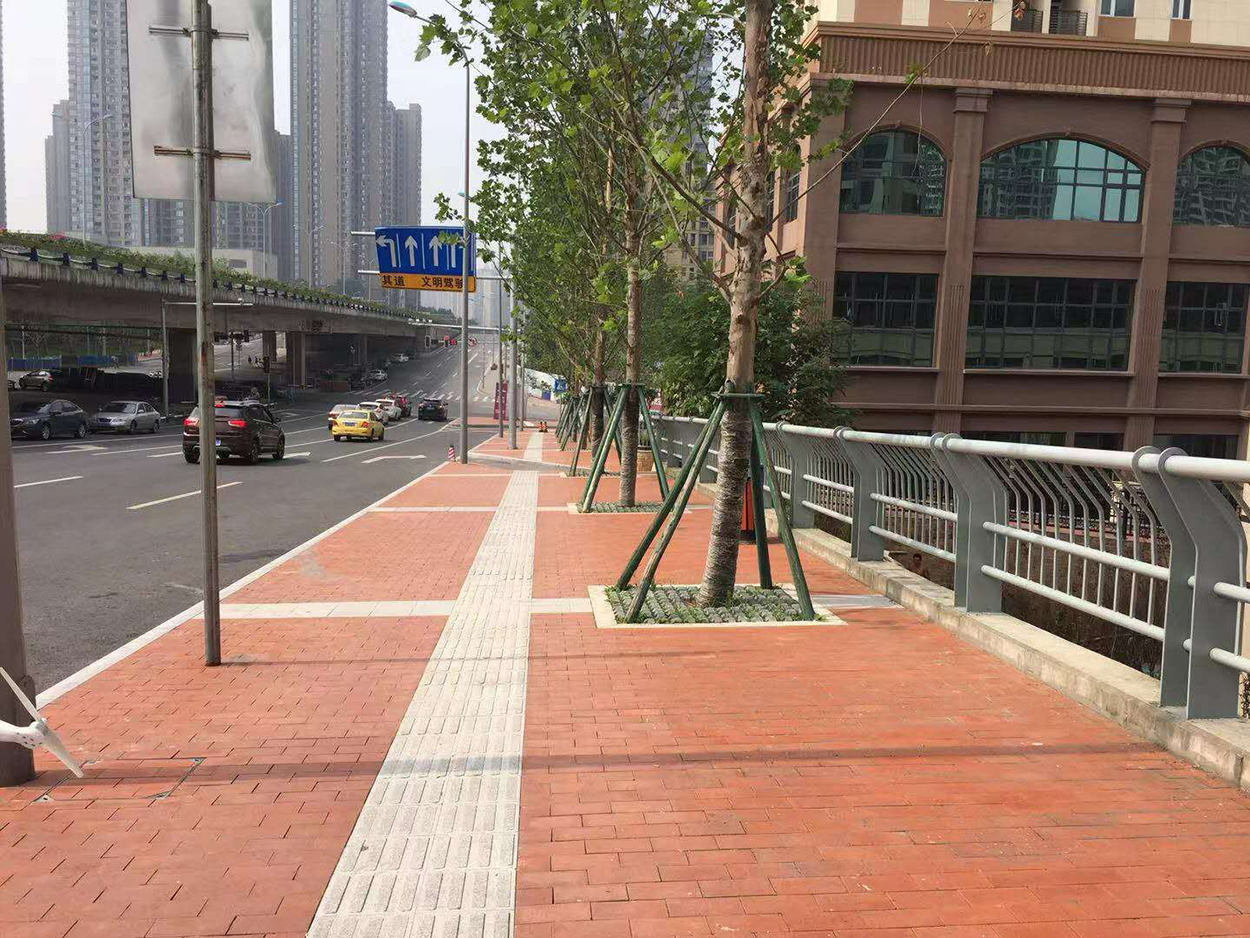 南延线杨家坪段人行道项目